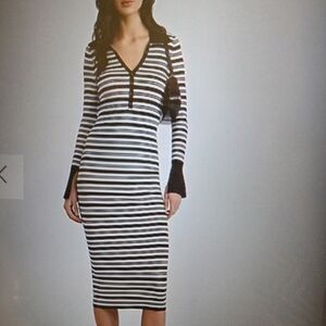 EXPRESS Knit Dress